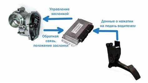 Влияние