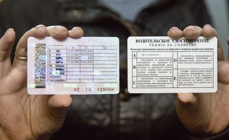 Процесс подачи заявки на получение документов